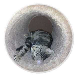 Sleepy Kitty Cat by Shirley Taylor Ceramic Knob