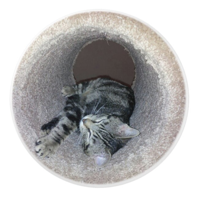 Sleepy Kitty Cat by Shirley Taylor Ceramic Knob (Front)