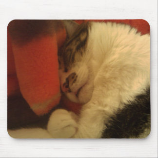 Sleepy Kitty Mouse Mat
