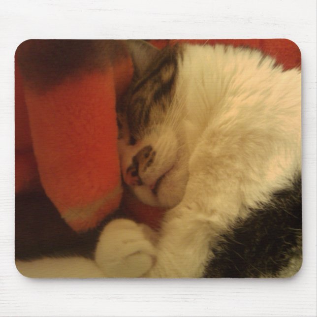 Sleepy Kitty Mouse Mat (Front)