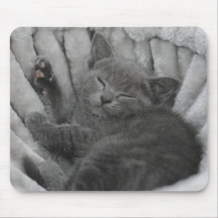 Sleepy kitty mouse mat