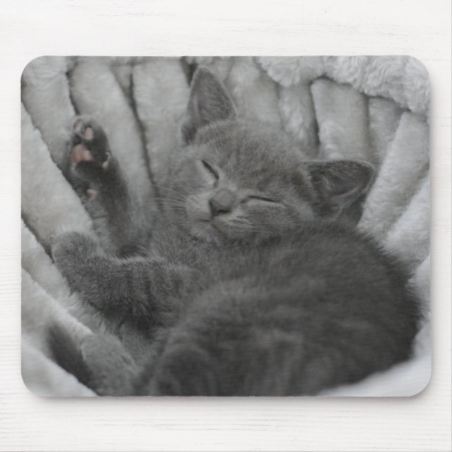 Sleepy kitty mouse mat (Front)