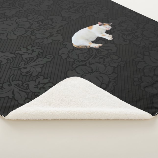 Sleepy Kitty Sherpa Blanket (3/4)