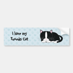 Sleepy Kitty {Tuxedo} Bumper Sticker