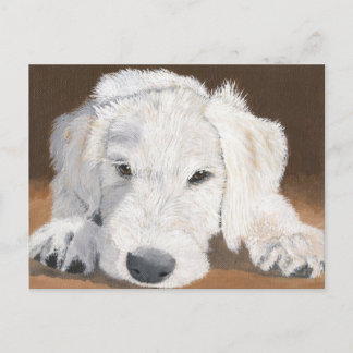 Sleepy Labradoodle Pup Postcard
