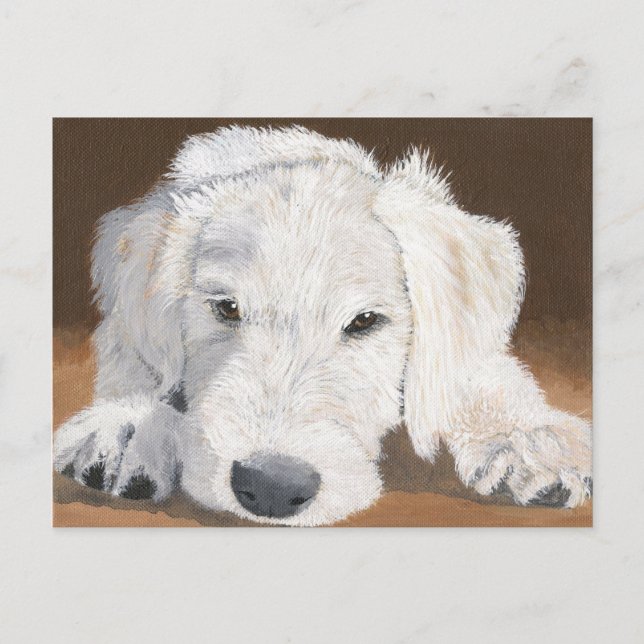 Sleepy Labradoodle Pup Postcard (Front)