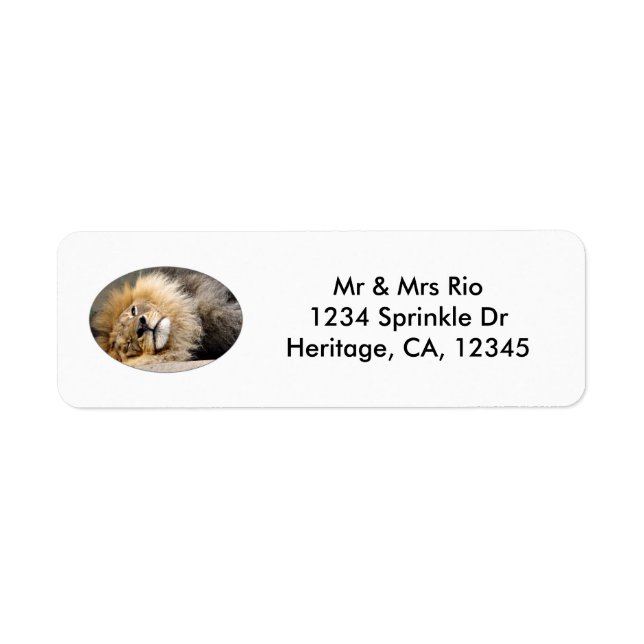 Sleepy Lion Wink Address Label (Front)