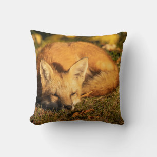 Sleepy Little Fox        Cushion