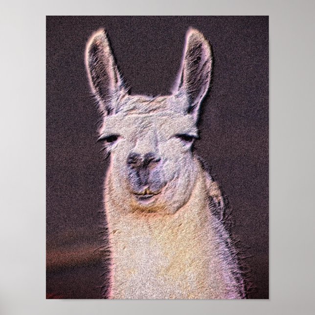 Sleepy Llama Face Animal Art   Poster (Front)