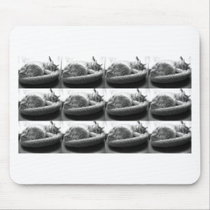 Sleepy Orange Tabby Cat/Black and White Photo Mouse Mat