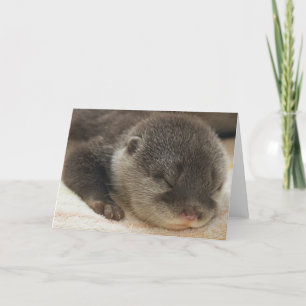 Sleepy Otter Card