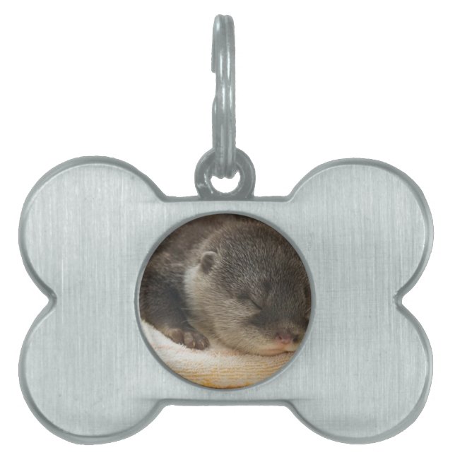 Sleepy Otter Pet Tag (Front)
