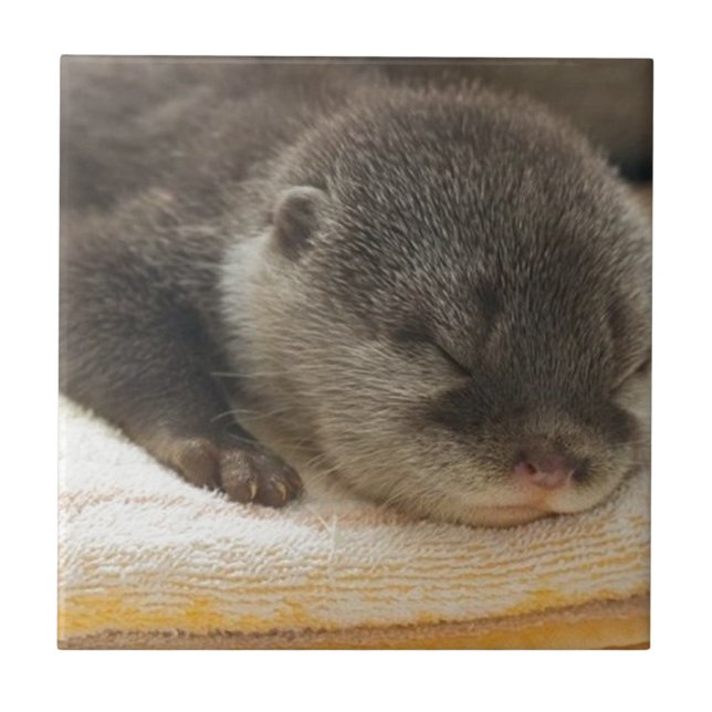 Sleepy Otter Tile (Front)
