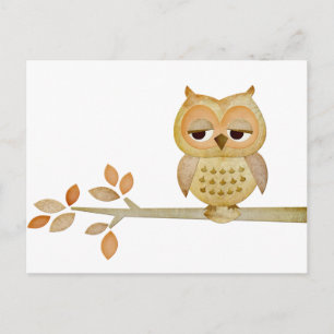 Sleepy Owl in Tree Postcard