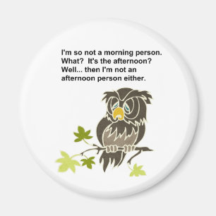 Sleepy Owl Magnet