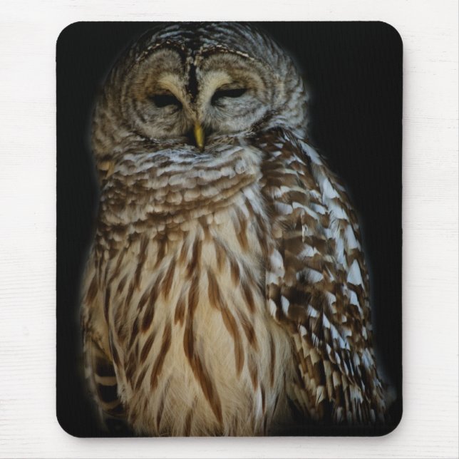 Sleepy Owl Mousepad (Front)
