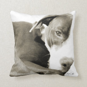 sleepy pit bull sepia photograph pillow