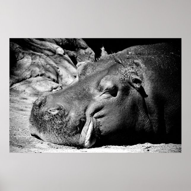 Sleepy Poster (Front)