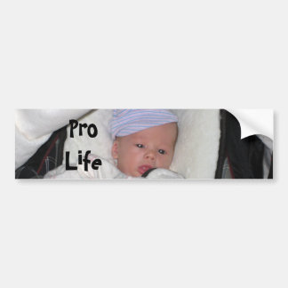 sleepy, Pro Life Bumper Sticker