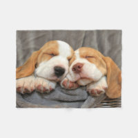 Sleepy Puppies
