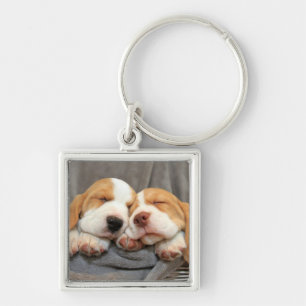 Sleepy Puppies Key Ring