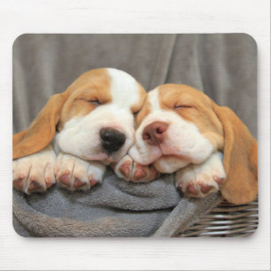 Sleepy Puppies Mouse Mat