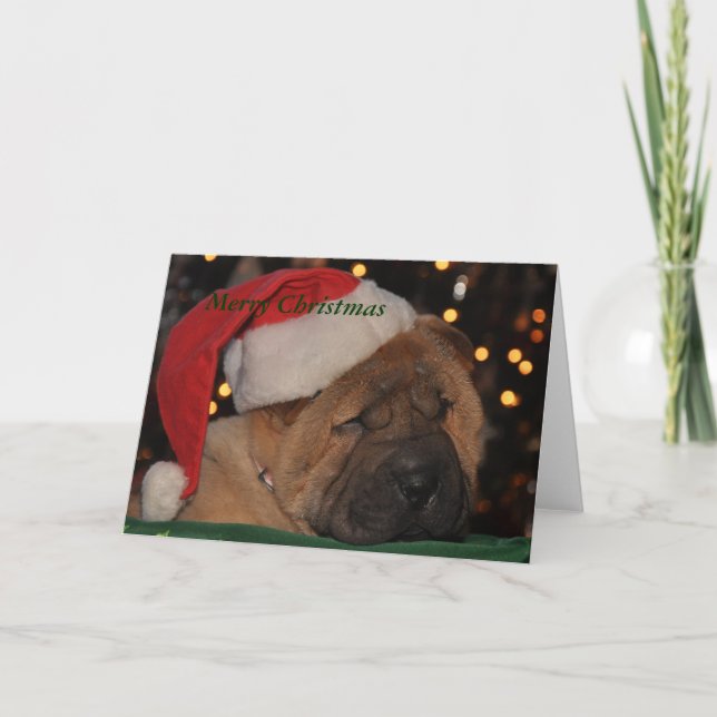 Sleepy Puppy Christmas card (Front)