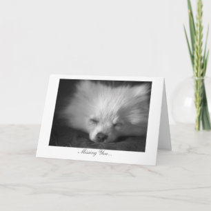 Sleepy Puppy - Missing You Card