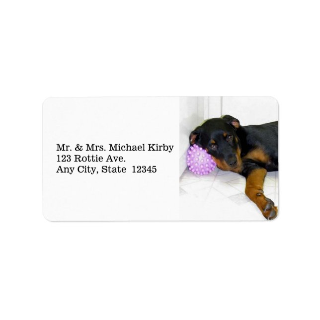 Sleepy Rottweiler Address Labels (Front)
