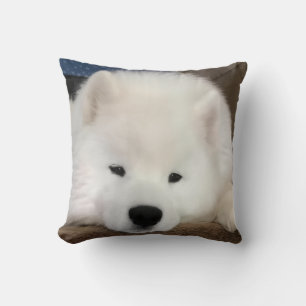 Sleepy Samoyed 16 x 16" throw pillow