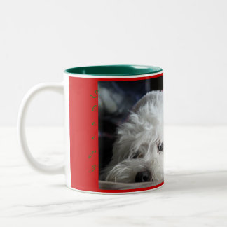 Sleepy Santa Mug