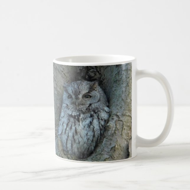 Sleepy Screech Owl Mug (Right)