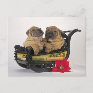 sleepy shar pei dogs in santa's sledge holiday postcard