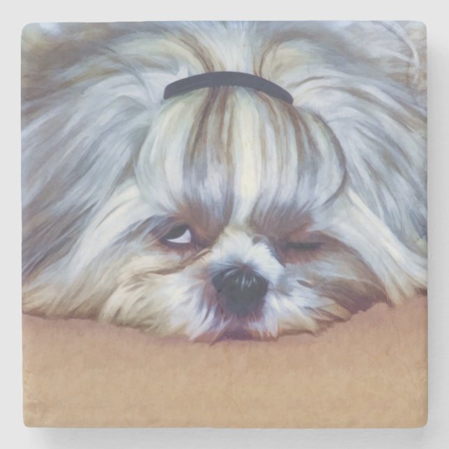 Sleepy Shih Tzu Dog Stone Coaster (Front)