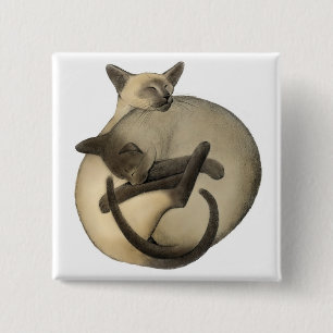 Sleepy Siamese Pin