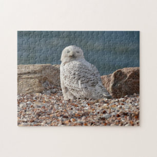 Sleepy Snowy Owl  Jigsaw Puzzle