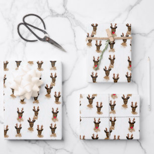 Sleepy Snowy Reindeer Rustic Christmas Wrapping Paper Sheet