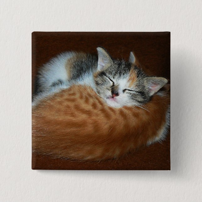 Sleepy soft kittens 15 cm square badge (Front)