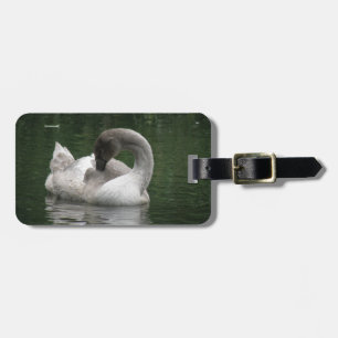 Sleepy Swan Custom Luggage Tag