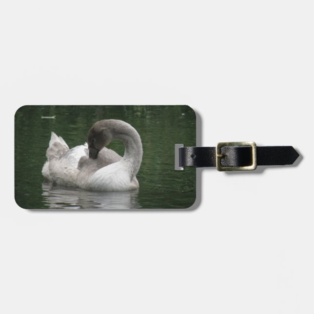 Sleepy Swan Custom Luggage Tag (Front Horizontal)
