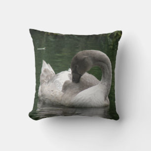 Sleepy Swan Pillow