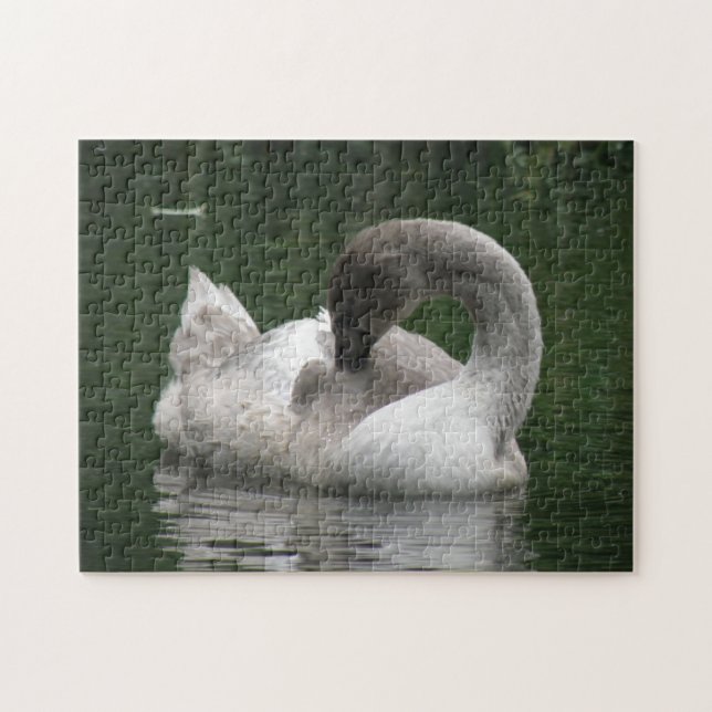 Sleepy Swan Puzzle (Horizontal)