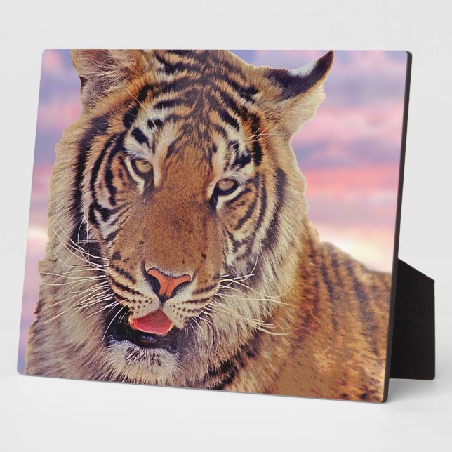 Sleepy Tiger - Plaque (Side)
