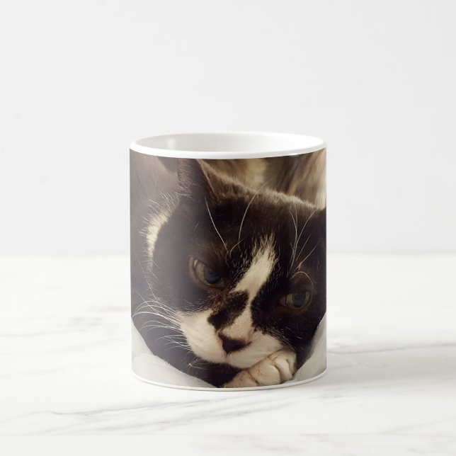 Sleepy Tuxedo cat mug (Center)