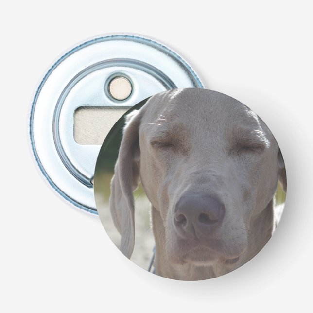 Sleepy Weimaraner Bottle Opener (Front)