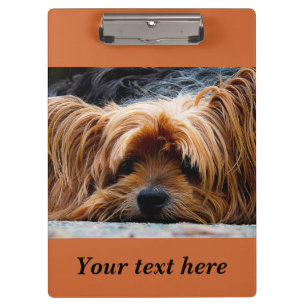 Sleepy Yorkshire Terrier Dog Photo Clipboard