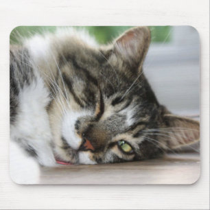 Sleepy Zorro Kitty Mouse Pad