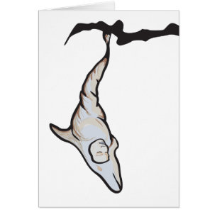 sleepyhead dolphin cocoon