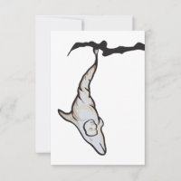 sleepyhead dolphin cocoon