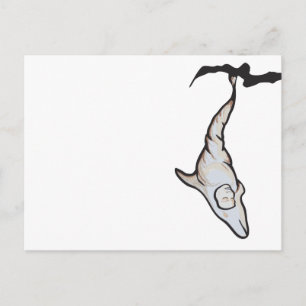 sleepyhead dolphin cocoon postcard